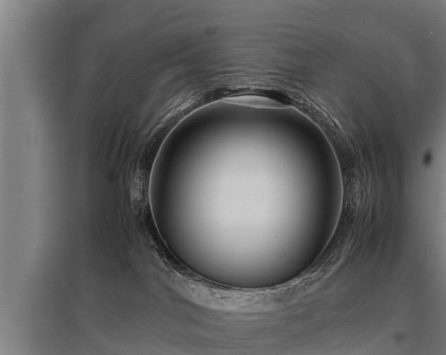 X0000095940044200801181410