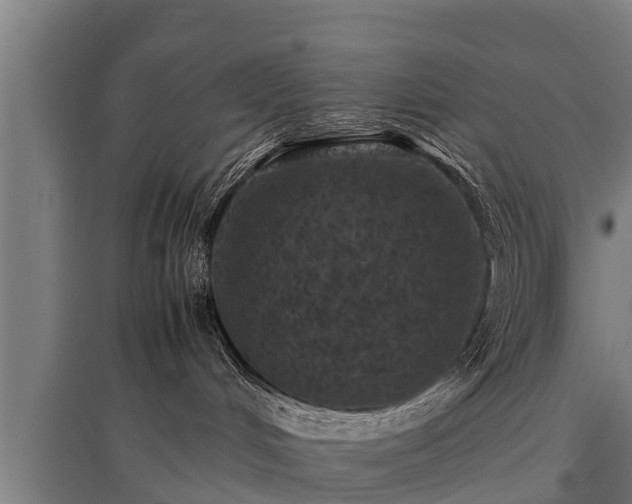 X0000095940048200801181410