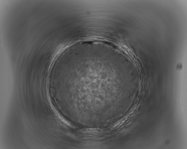 X0000095940049200801181409