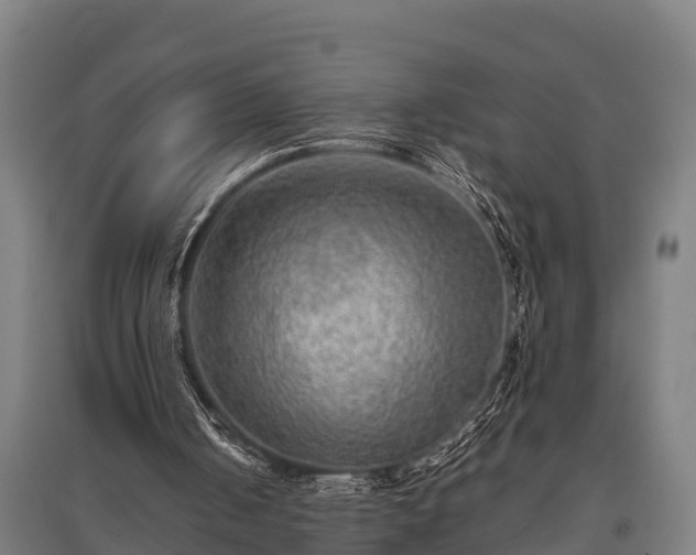 X0000095940050200801181409