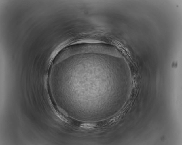 X0000095940051200801181409