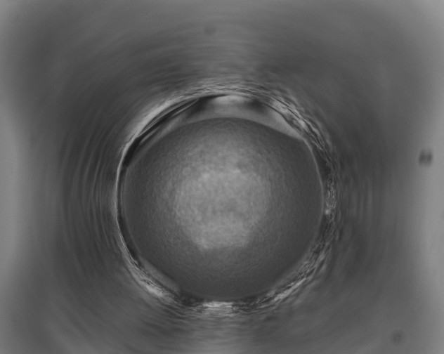 X0000095940052200801181409