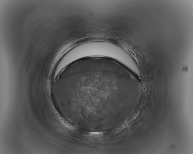 X0000095940053200801181409
