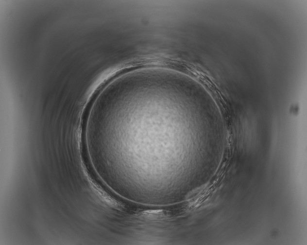 X0000095940054200801181409