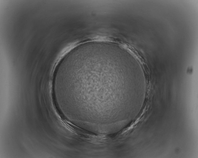 X0000095940055200801181409