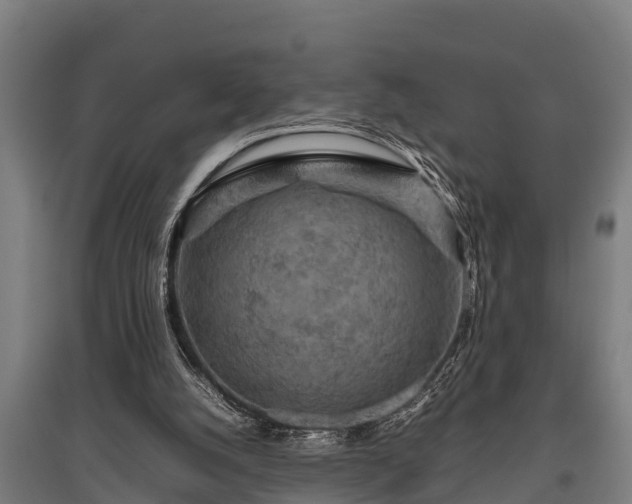 X0000095940056200801181409