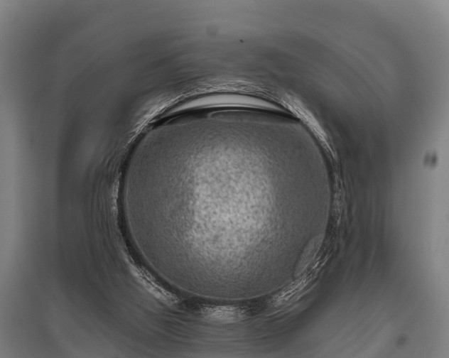X0000095940058200801181409