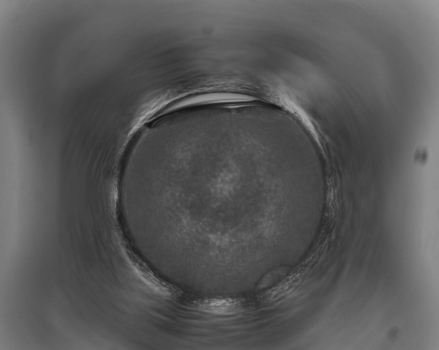 X0000095940059200801181409