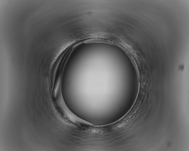 X0000095940060200801181409