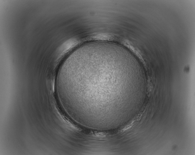 X0000095940062200801181409