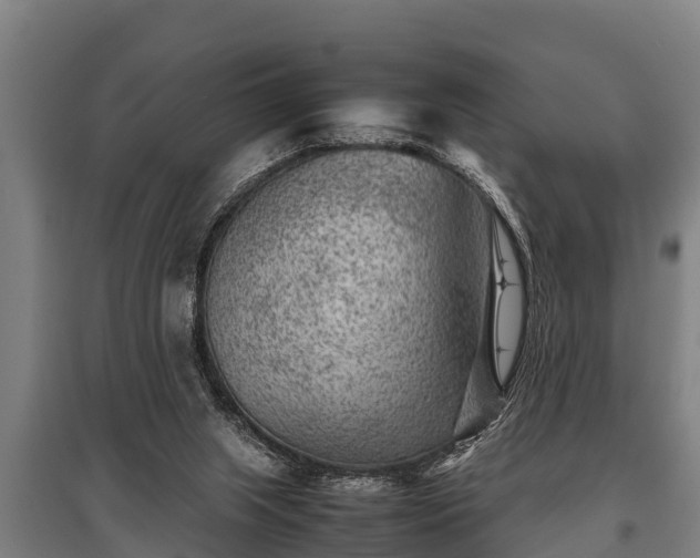 X0000095940063200801181409