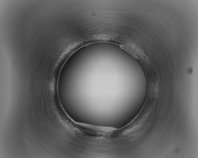 X0000095940064200801181410