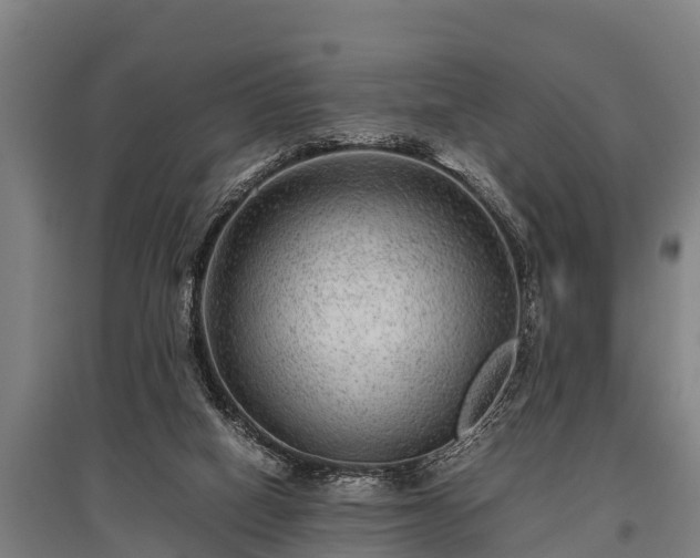 X0000095940066200801181410
