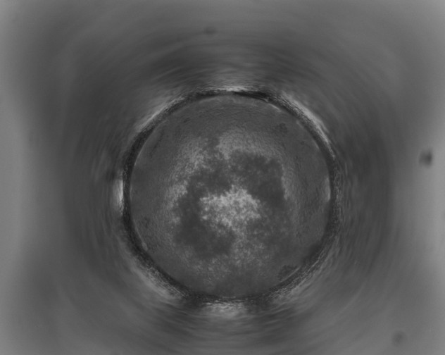 X0000095940067200801181410