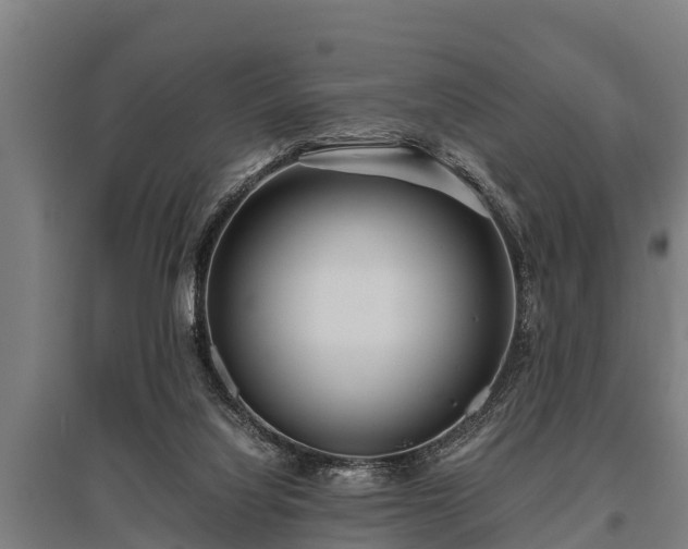 X0000095940068200801181410