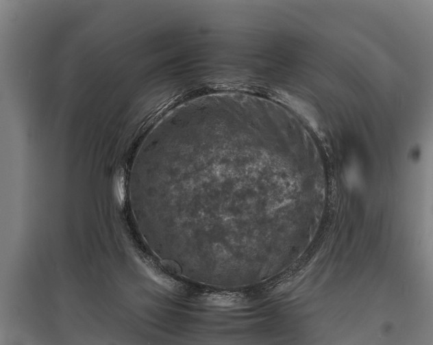 X0000095940069200801181410