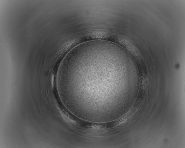 X0000095940070200801181410