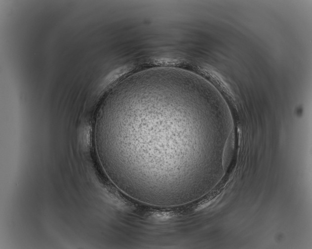 X0000095940071200801181410