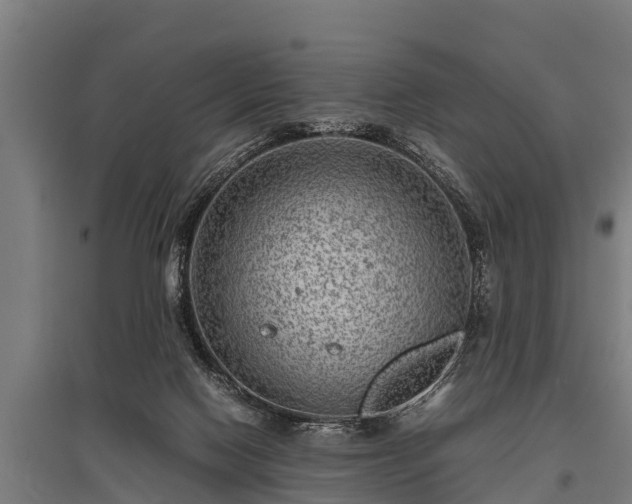 X0000095940074200801181410