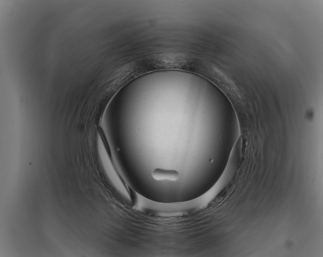 X0000095940075200801181410