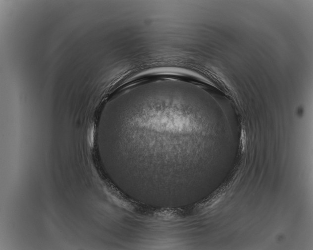 X0000095940076200801181410