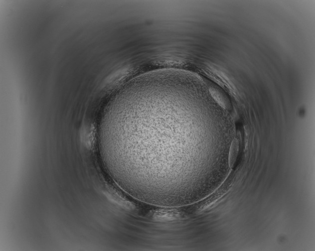X0000095940077200801181410