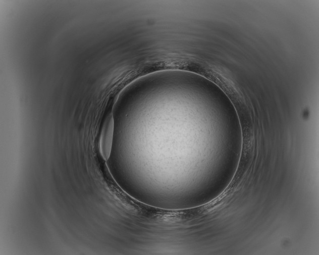 X0000095940078200801181410