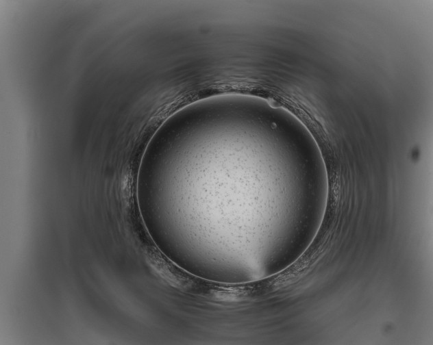 X0000095940079200801181410