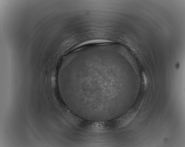 X0000095940080200801181410