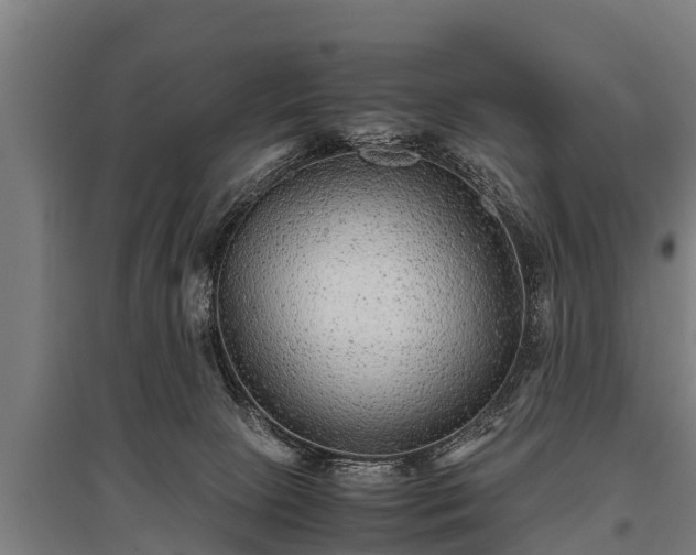 X0000095940081200801181410