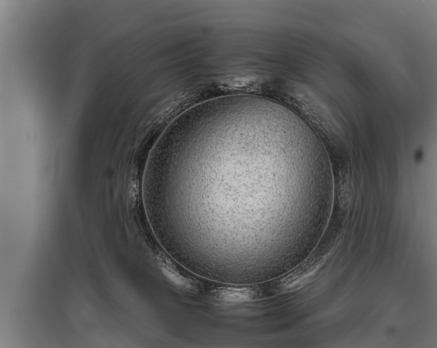 X0000095940085200801181410