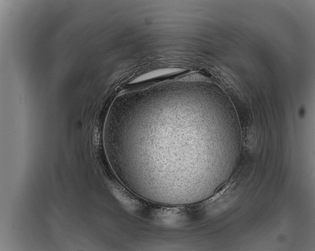 X0000095940086200801181410