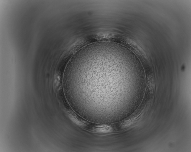 X0000095940087200801181410