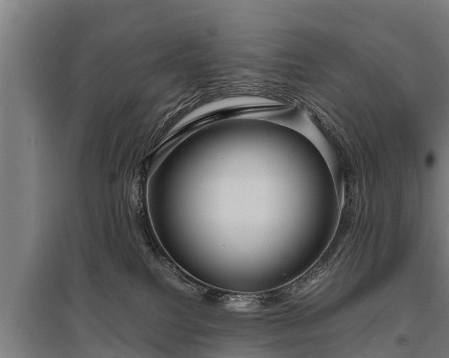 X0000095940088200801181410