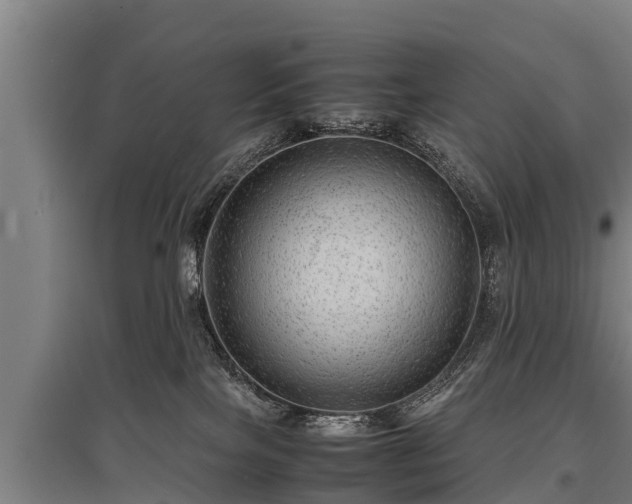 X0000095940089200801181410