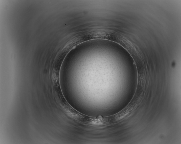 X0000095940091200801181410