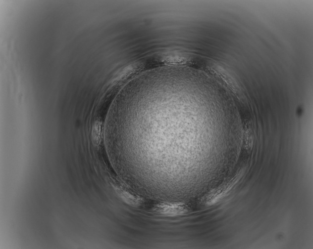 X0000095940093200801181410