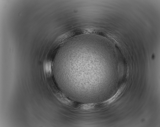 X0000095940094200801181410