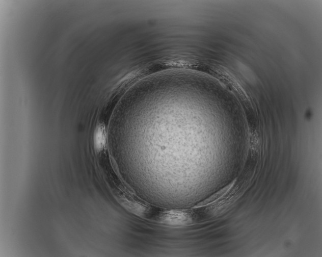 X0000095940095200801181410