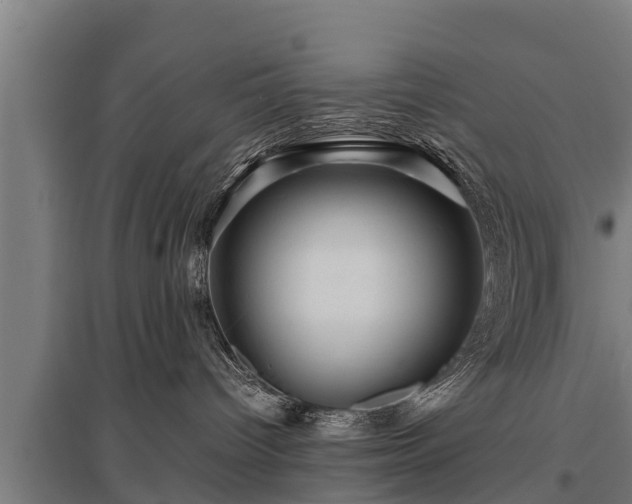 X0000095940096200801181410