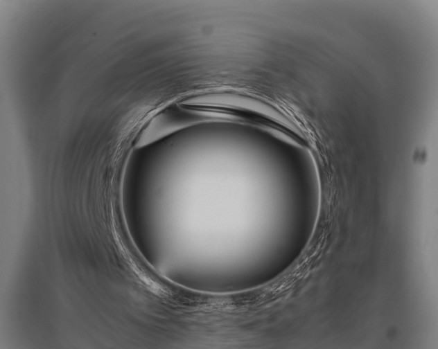 X0000095940097200801181409