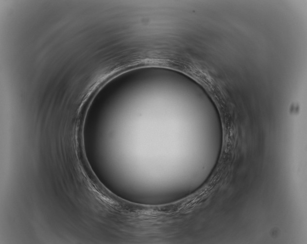 X0000095940098200801181409