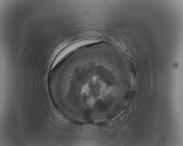 X0000095940099200801181409
