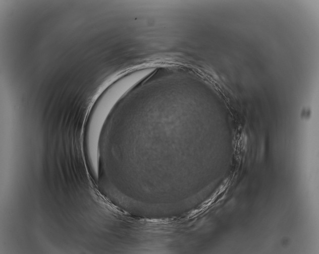 X0000095940100200801181409