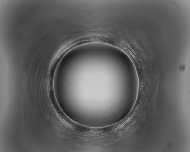 X0000095940101200801181409