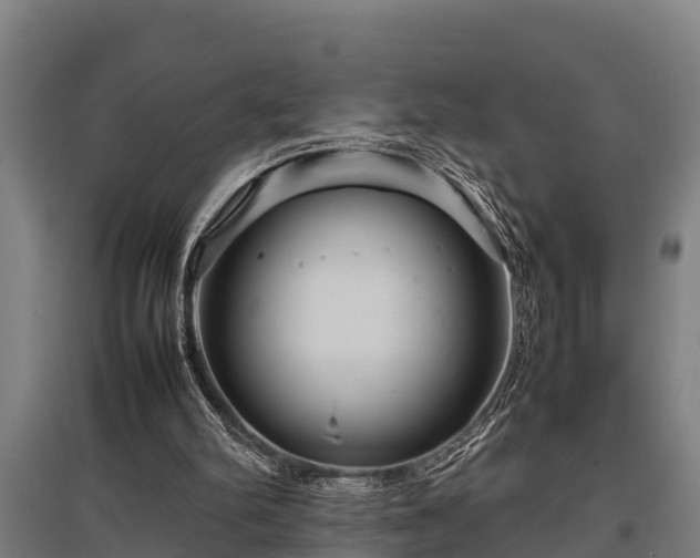 X0000095940102200801181409
