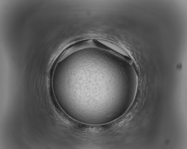 X0000095940103200801181409