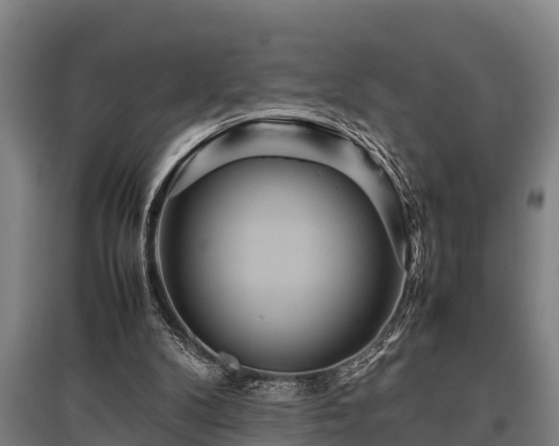 X0000095940104200801181409
