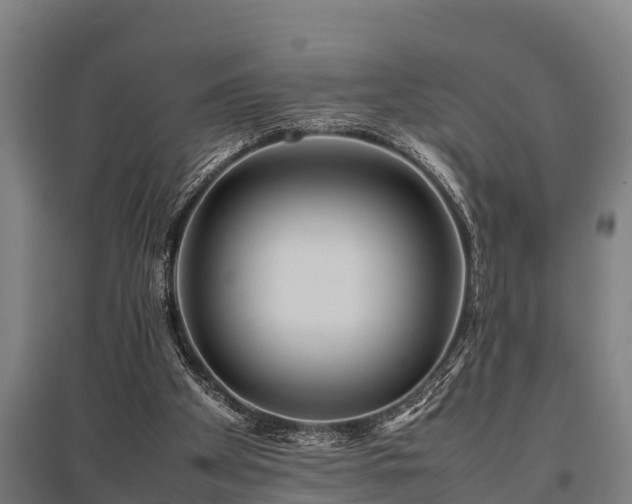 X0000095940105200801181409