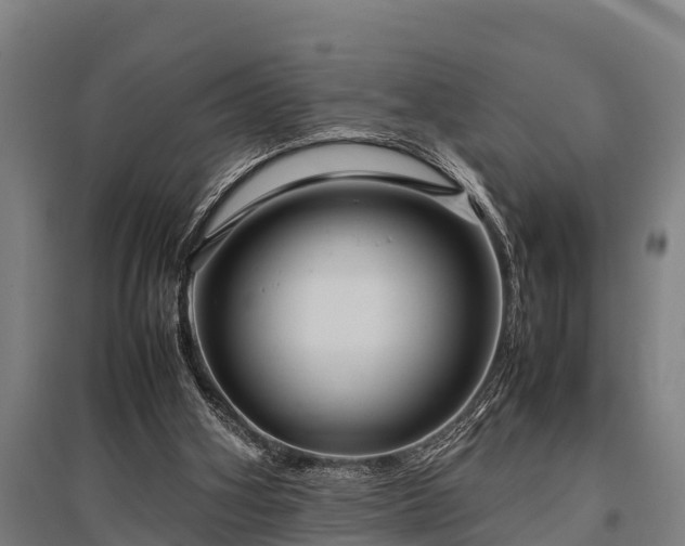 X0000095940106200801181409